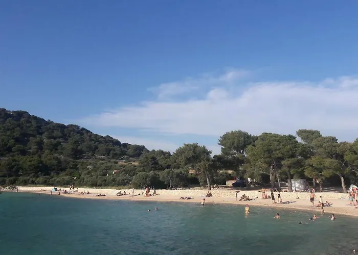 Josip * مورتير